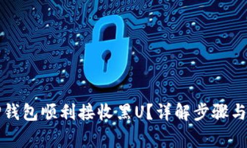 如何让TP钱包顺利接收黑U？详解步骤与注意事项