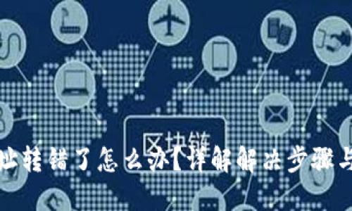 TP钱包地址转错了怎么办？详解解决步骤与实用建议