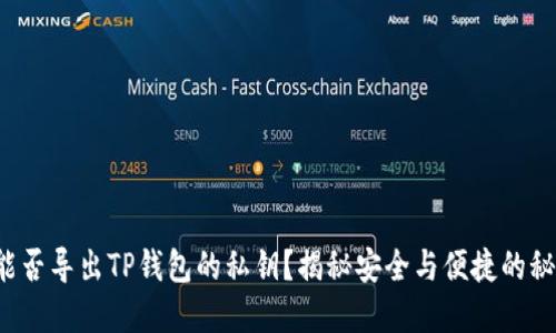 你能否导出TP钱包的私钥？揭秘安全与便捷的秘密！