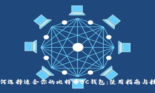 如何选择适合你的比特币BC钱包：使用指南与技巧