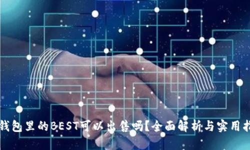 TP钱包里的BEST可以出售吗?全面解析与实用指南