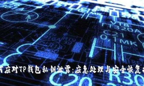 如何应对TP钱包私钥泄露：应急处理与安全恢复指南