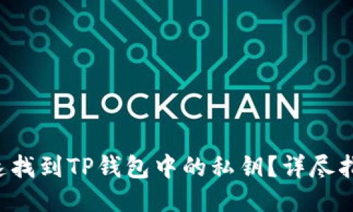 如何快速找到TP钱包中的私钥?详尽指南来了!